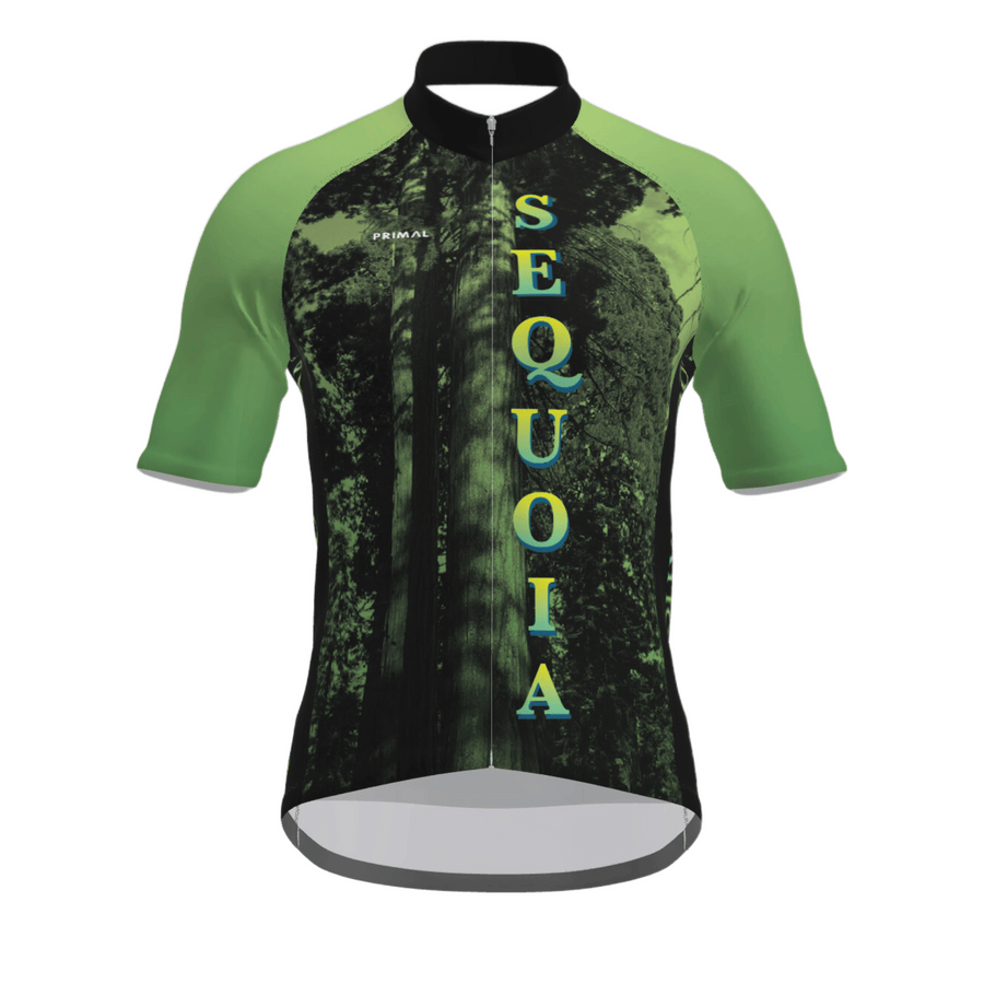 Sequoia National Park Men's Prisma Jersey