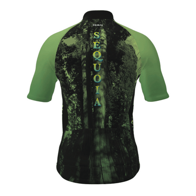 Sequoia National Park Men's Prisma Jersey