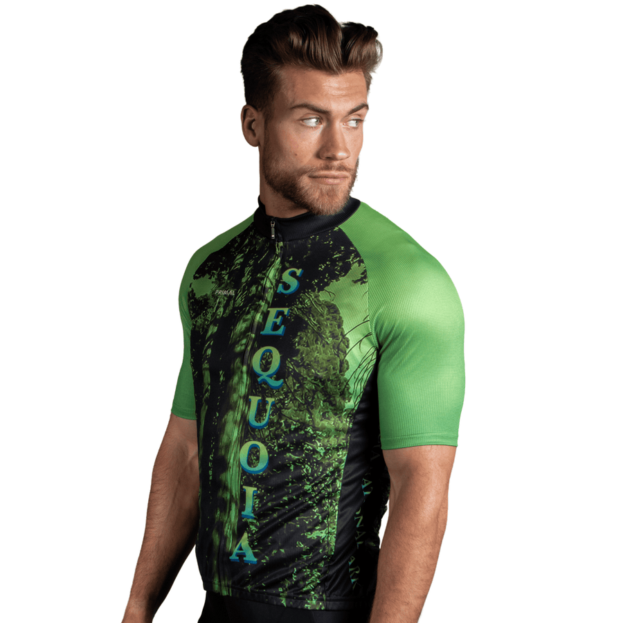 Sequoia National Park Men's Prisma Jersey