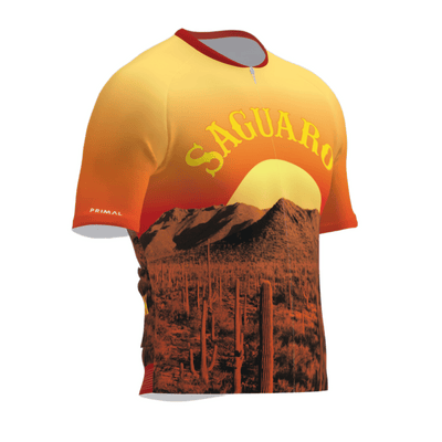 Saguaro National Park Men's Omni Jersey